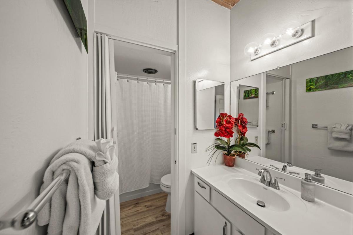 Newly Upgraded 1Br Unit Near Beach Max Of 5 Guests 카일루아 코나 외부 사진